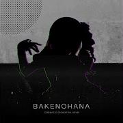 Bake No Hana Orchestra
