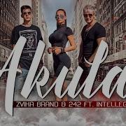 Akula Feat Intellegent Zvika Brand 242