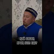 Бұл Арақты Ішіп Еді Қай Бабаң
