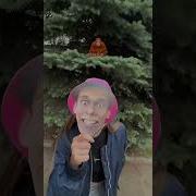 Новый Хит Димдимыча