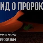 Нашид На Аварском Языке Тага Нурмагомедов