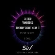 Luther Vandross I Really Didn T Mean It Steve White Remix