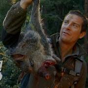 Bear Grylls