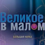 Исцеление Клеток Днк