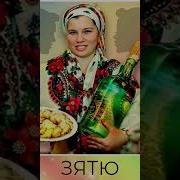 Зятю На День Рождения От Тёщи