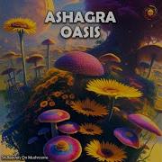 Reavers On Mushrooms Original Mix Ashagra