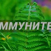 Иммунитет На Чувства Саблиминал