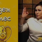 За Грибами Физминутка