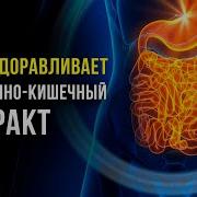 Медитация Исцеления Жкт