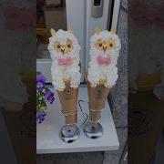 Music Viral Sheep Ice Cream