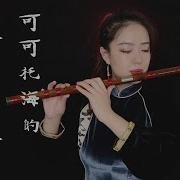 笛子 可可托海的牧羊人 Chinese Bamboo Flute Cover Shirley Lei Xue