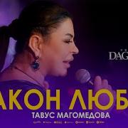Т Авус Магамедова