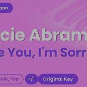 Gracie Abrams I Love You Im Sorry Karaoke