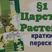 Биология 6 Класс И Н Понамарёва 3 Пораграф Mp3