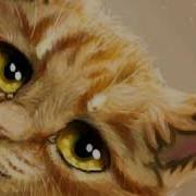 Коты Воители Наша Жизнь Война