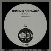 Dominik Schwarzf That