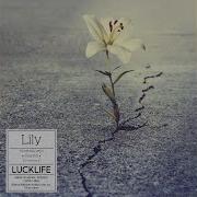 Lily Luck Life