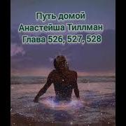 Путь Домой Анастейша Тиллман Глава 526