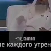 Кулли Шайин Кадир