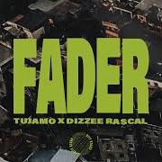 Dizzee Rascal Tujamo