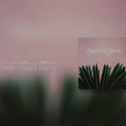 Tropical Fever Liqwyd Luke Bergs