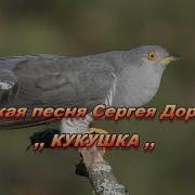 Кукушка Дорофеев