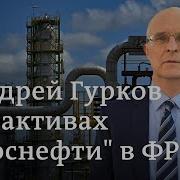 Гурков Андрей