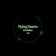 Alan Walker Flying Dreams