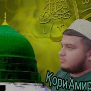 Кохри Амирхамза Мавлуд