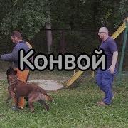 Конвой Собаки