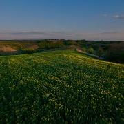 Рубінові Частини Сонце Й Зорі