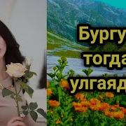 Бургут Тогда Улгаяди 6 Китоб