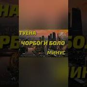 Минус Туёна Точики