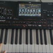 Modern Talking Style Instrumental Danekoo1 Korg Pa4X Italo Disco 80S