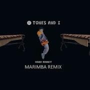 Dance Monkey Imarimba Remix