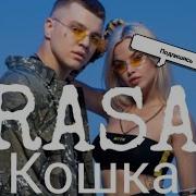 Rasa Поют Кошки