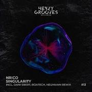 Nrico Singularity Neumann Remix