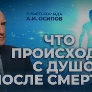 Алексей Прима Путь Души После Земной Жизни