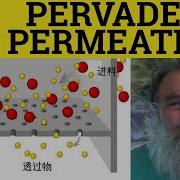 Permeate