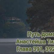 Путь Домой Анастейша Тиллман 391