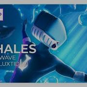 Whales Tidal Wave Feat Luxtides