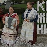 Пташица Кружевница