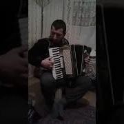 Аварская Песня 2019 На Аккордеоне