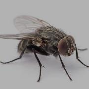 Youg Fly On The Track