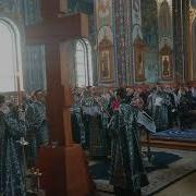 Днесь Висит На Древе Грузинское