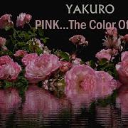 Yakuro The Color Of Love