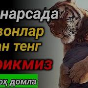 Хайвонлар Хакида Маруза