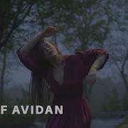 Asaf Avidan Lost Horse