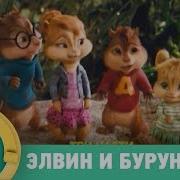 Стс Элвин Бурундуки