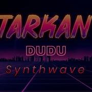 Synthwave Dudu Tarkan